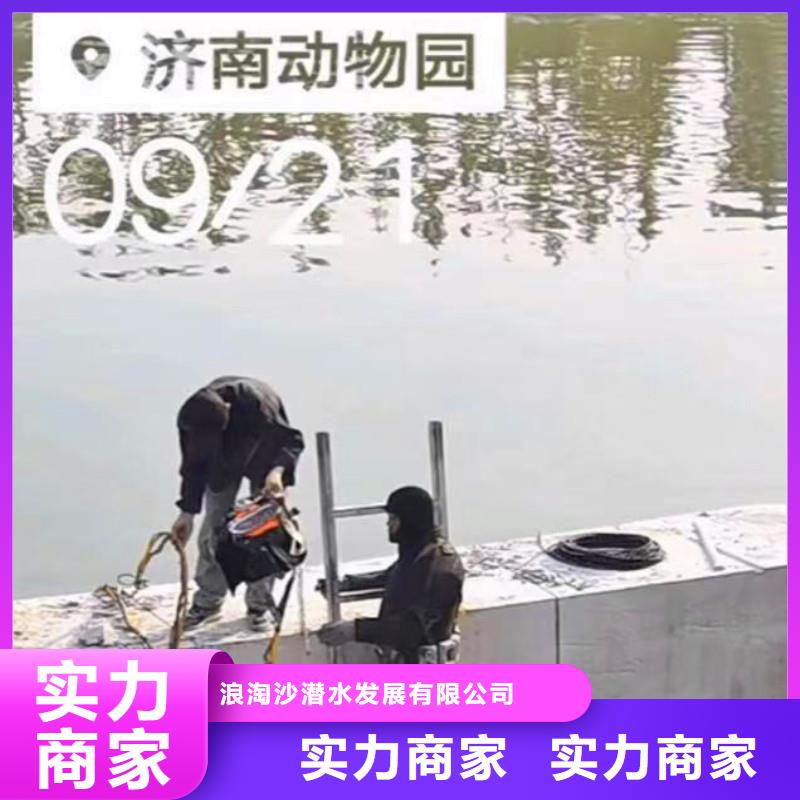 价格合理的水下摄影、公司