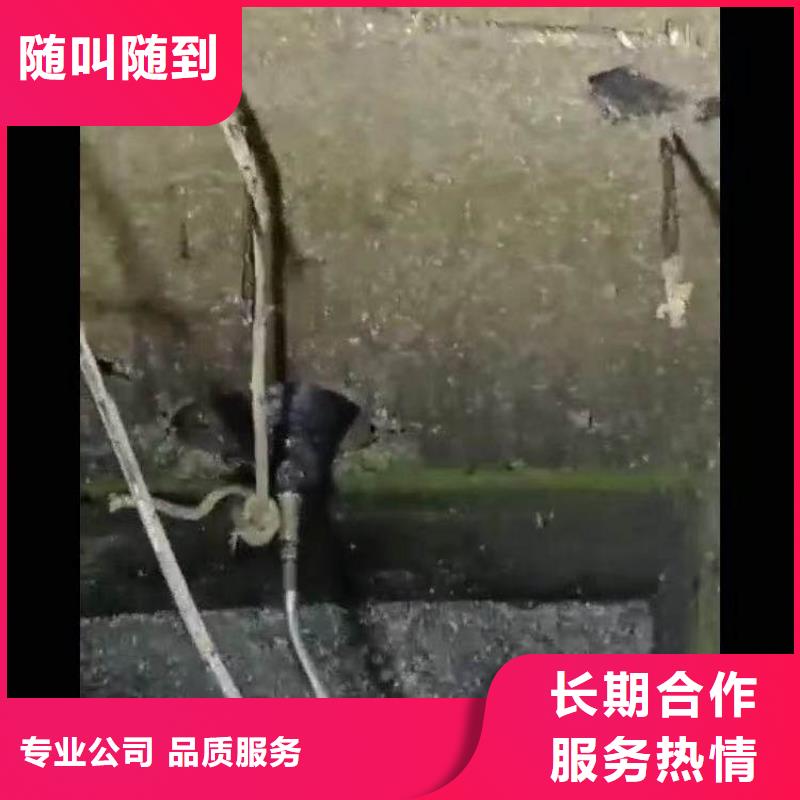 :潜水员服务公司<本地队伍>-规格齐全