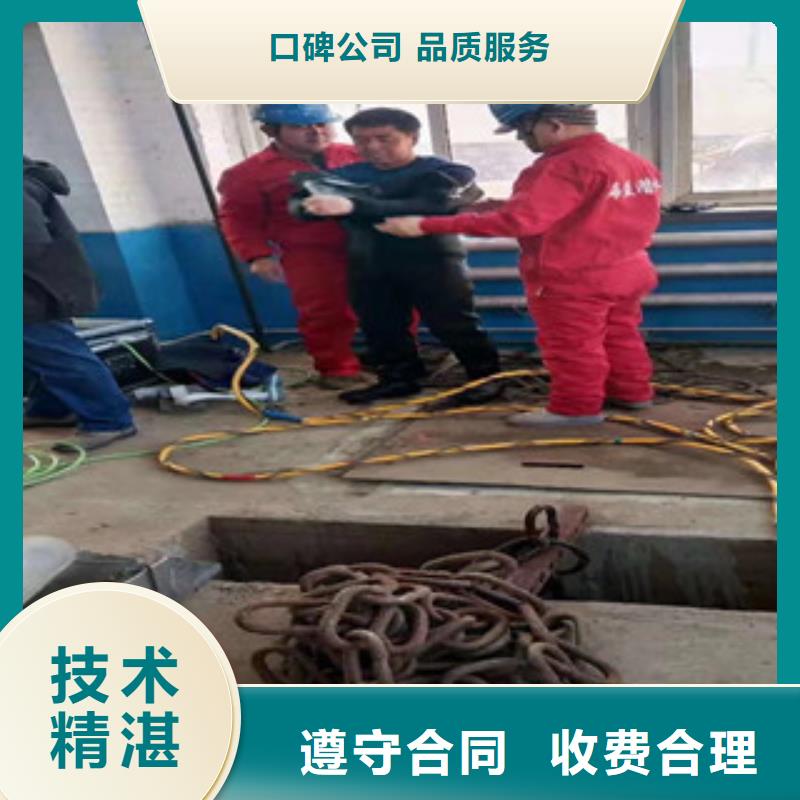 潜水员水下摄影质量靠谱