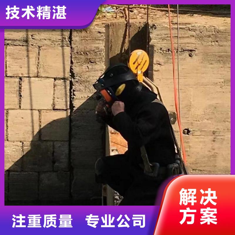 水上浮吊船水下照相服务多年行业经验