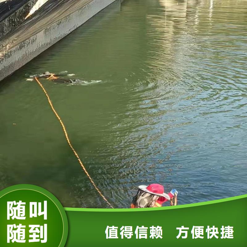 潜水员水下摄影本地供货商