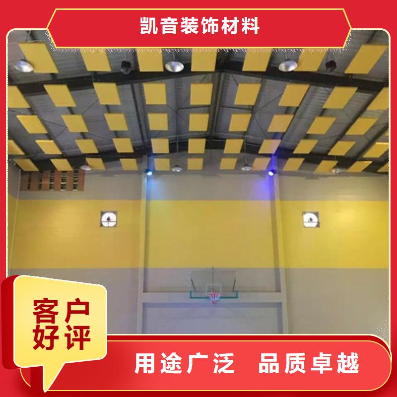 蒲城县多功能体育馆吸音改造方案--2025近方案/价格