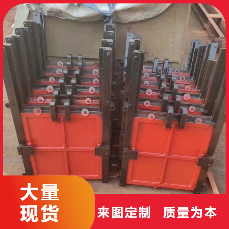 机门一体闸门特殊规格可定做