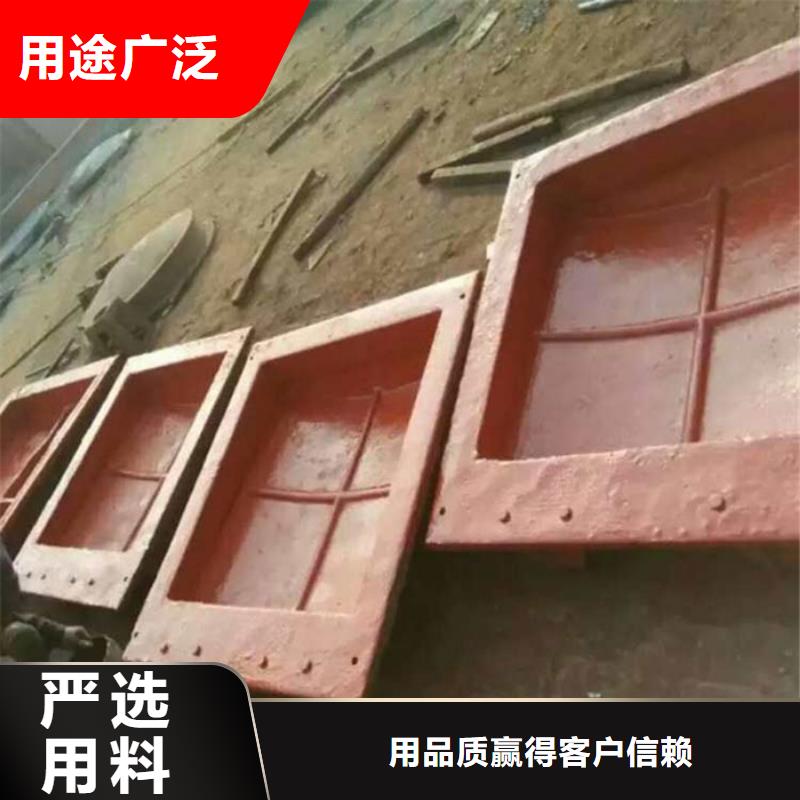 本地的铸铁镶铜闸门生产厂家