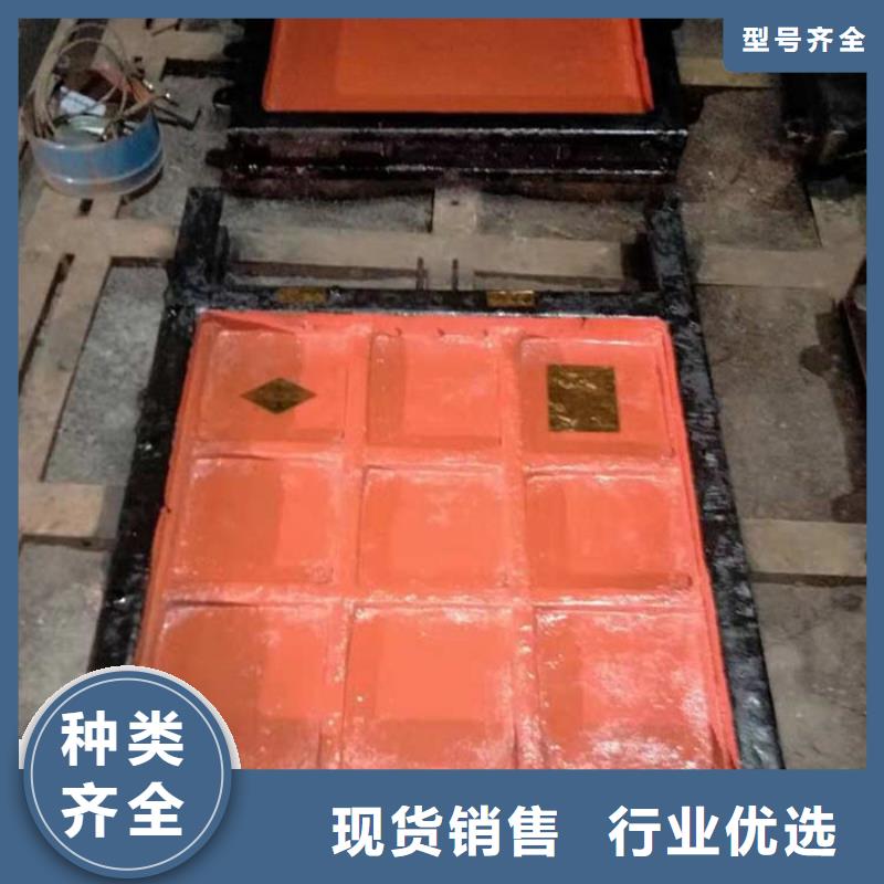 机门一体铸铁闸门源头直供厂家