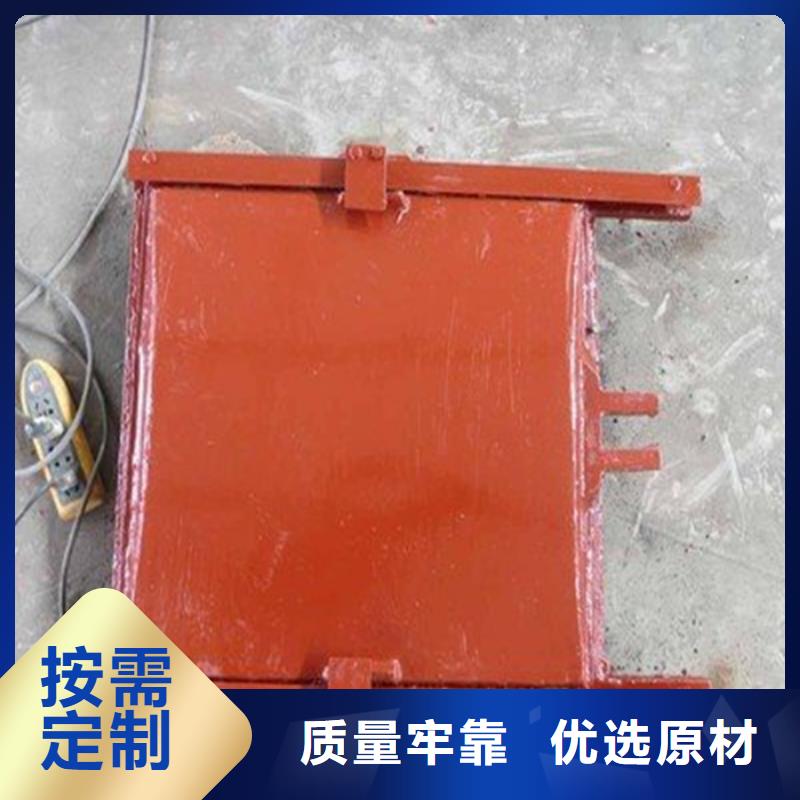 实力雄厚的附壁式铸铁闸门生产厂家