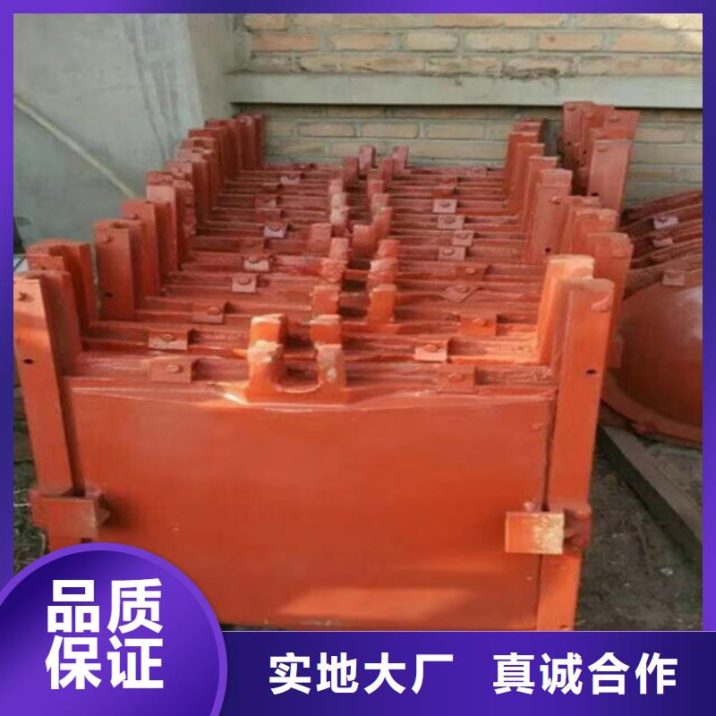 水库铸铁闸门优选企业