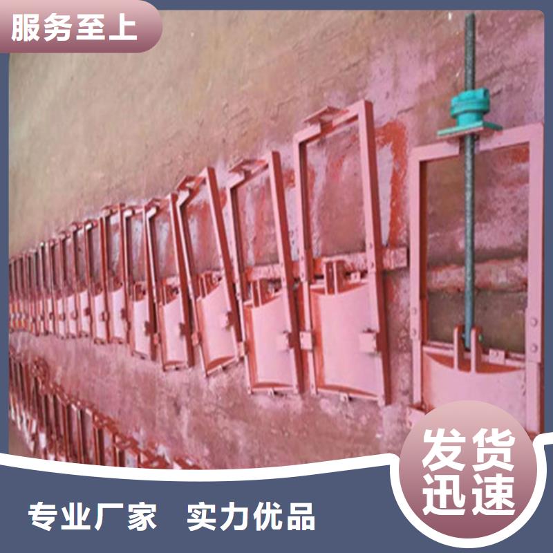 本地的铸铁镶铜闸门生产厂家