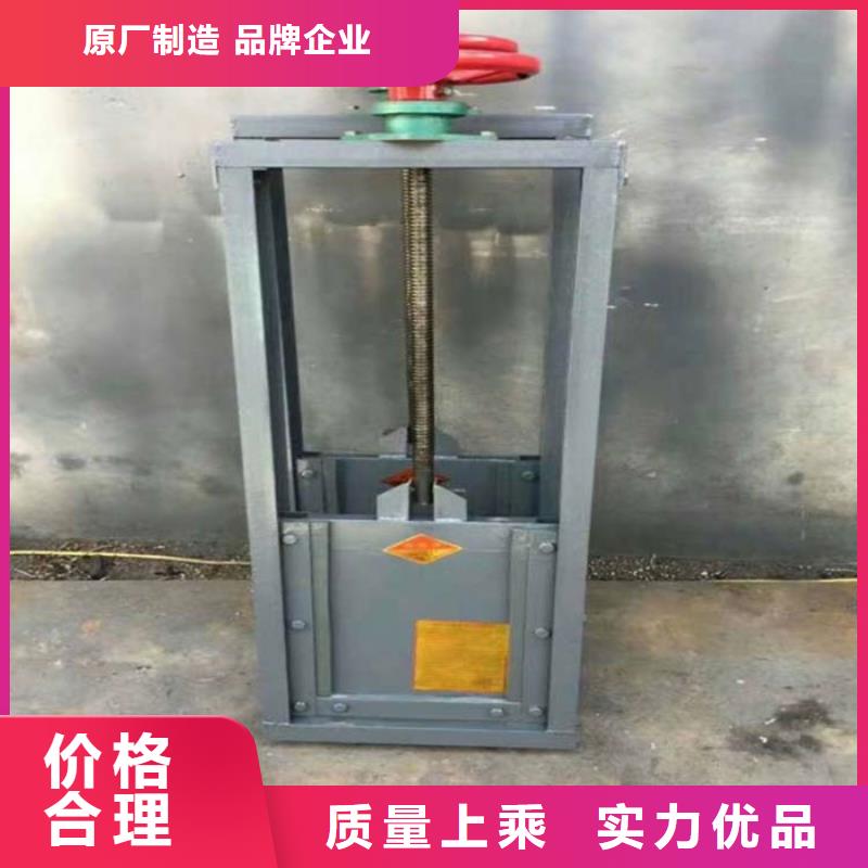 定轮钢制闸门可按需定做