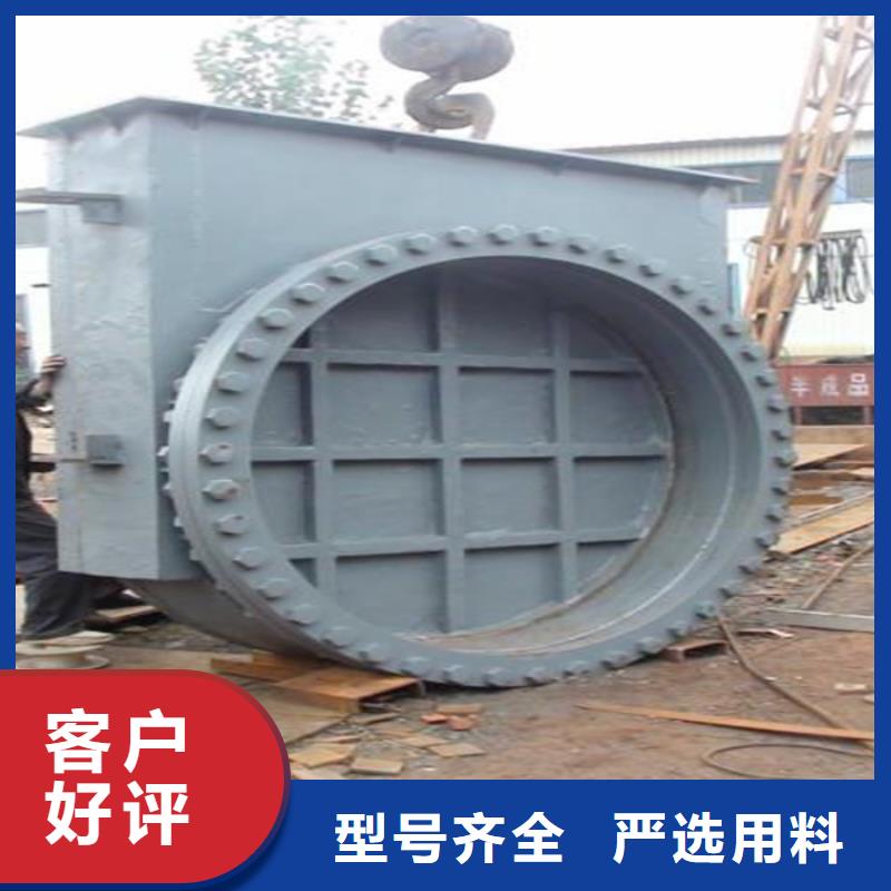 露顶钢制闸门厂家供应批发