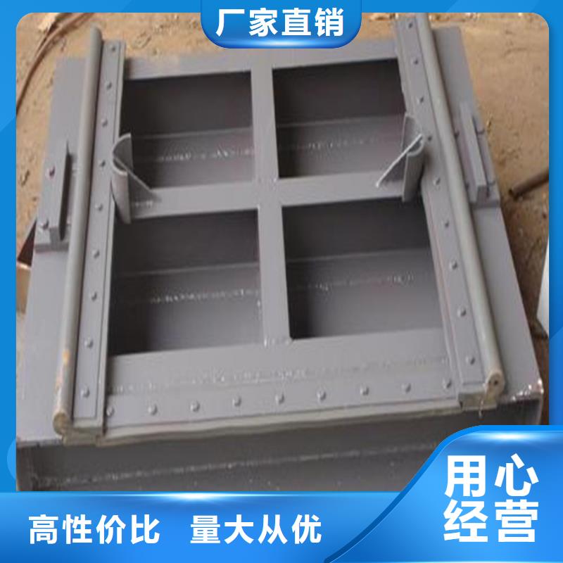 定轮钢制闸门可按需定做