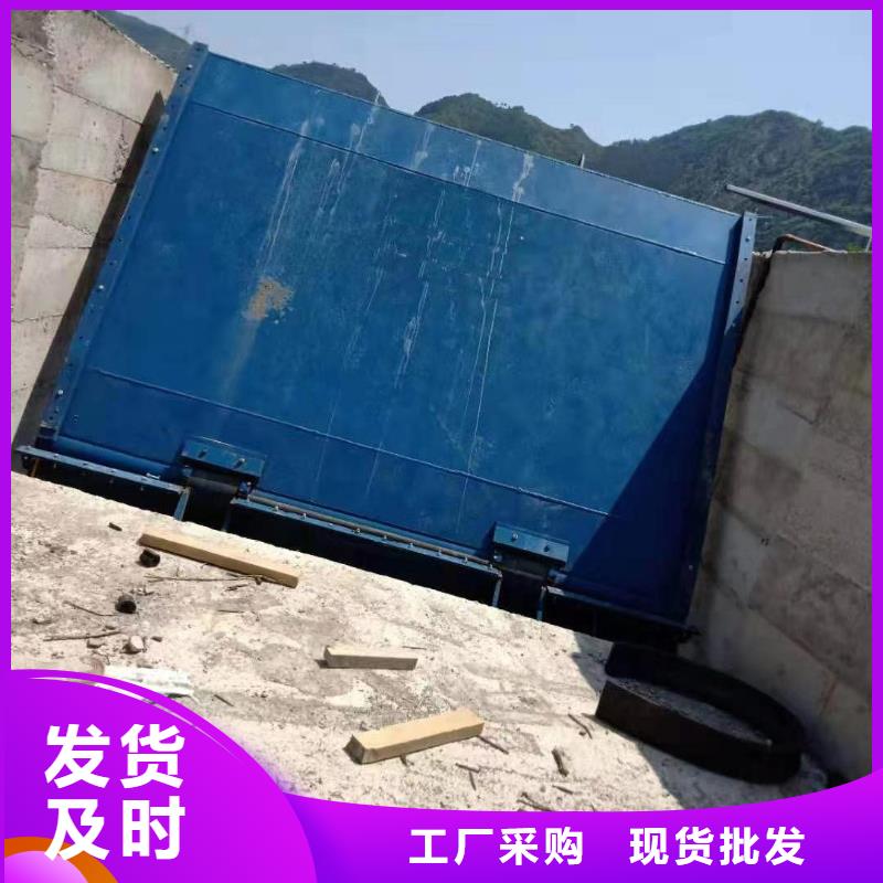 液压双控翻板闸门生产厂家