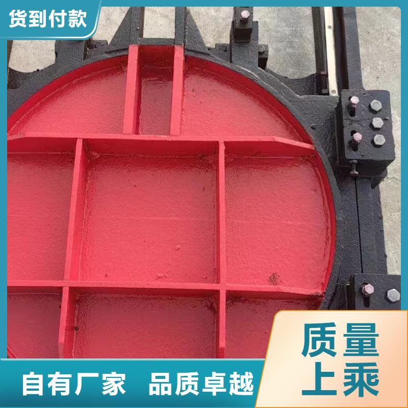 机门一体闸门厂家直发