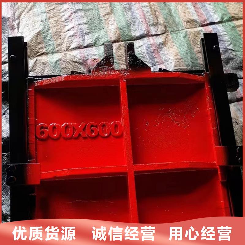 机门一体闸门厂家直发
