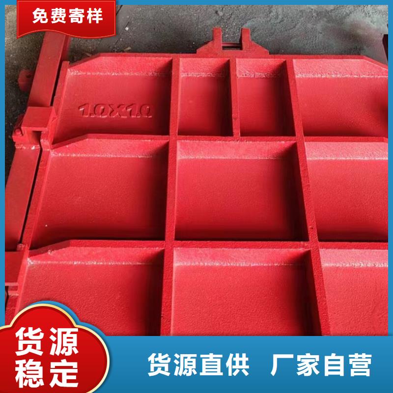 暗杆式铸铁闸门线条优美