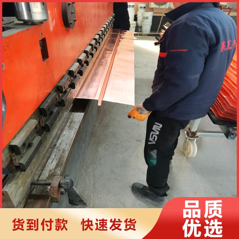 铜止水来厂实地考察