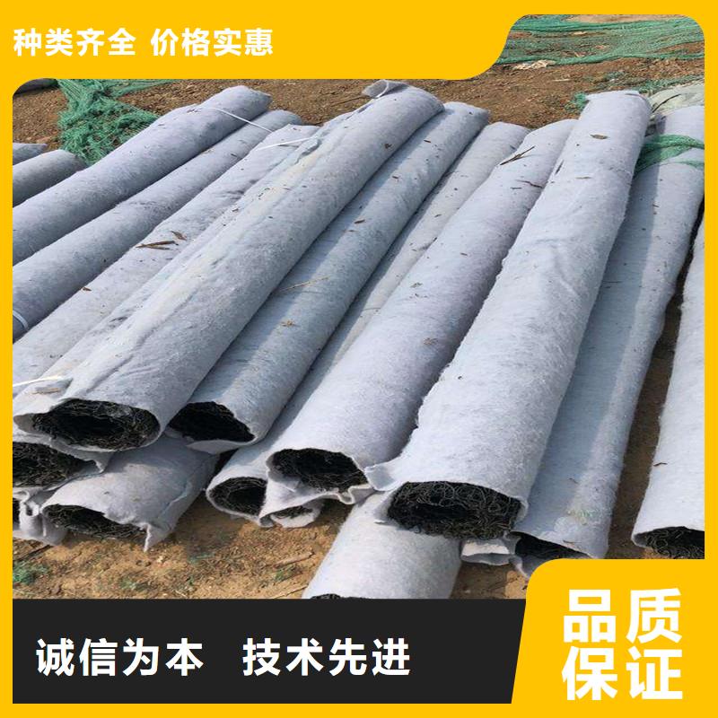 环向排水盲管企业-实力雄厚