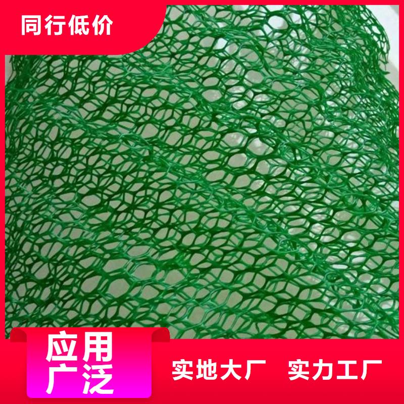 三维植被网【仿钢塑钢纤维】价格实惠
