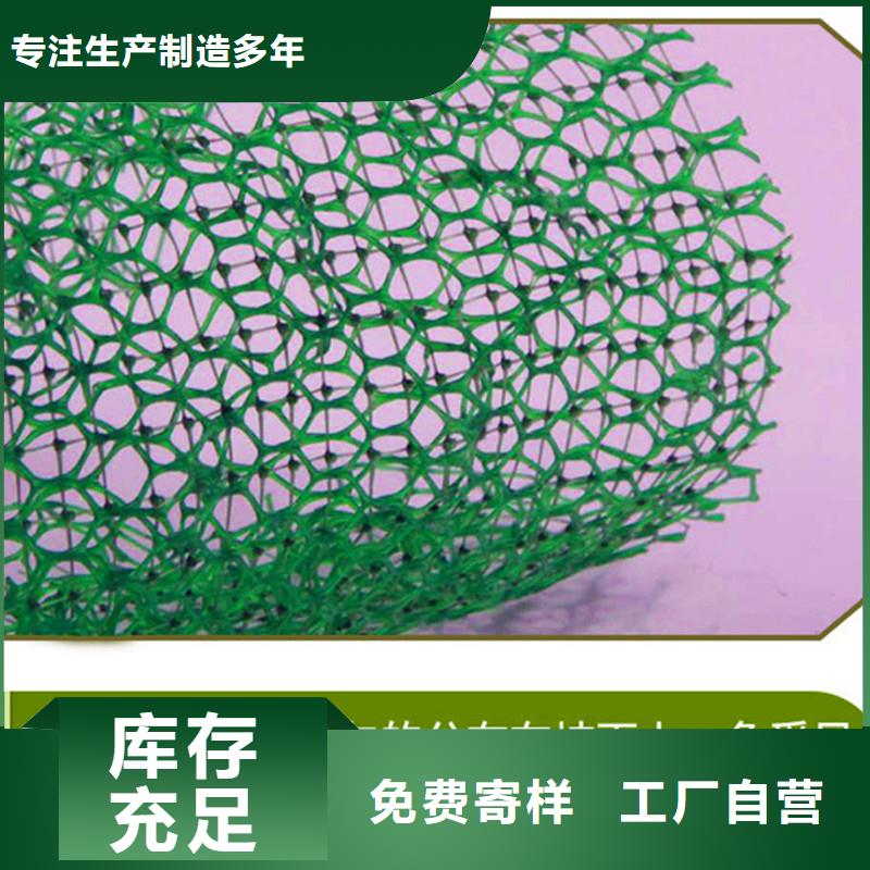 三维植被网聚乙烯醇纤维专注质量