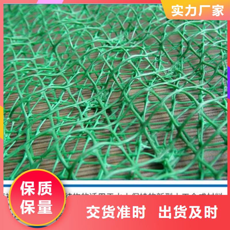 三维植被网,【聚丙烯纤维】可接急单