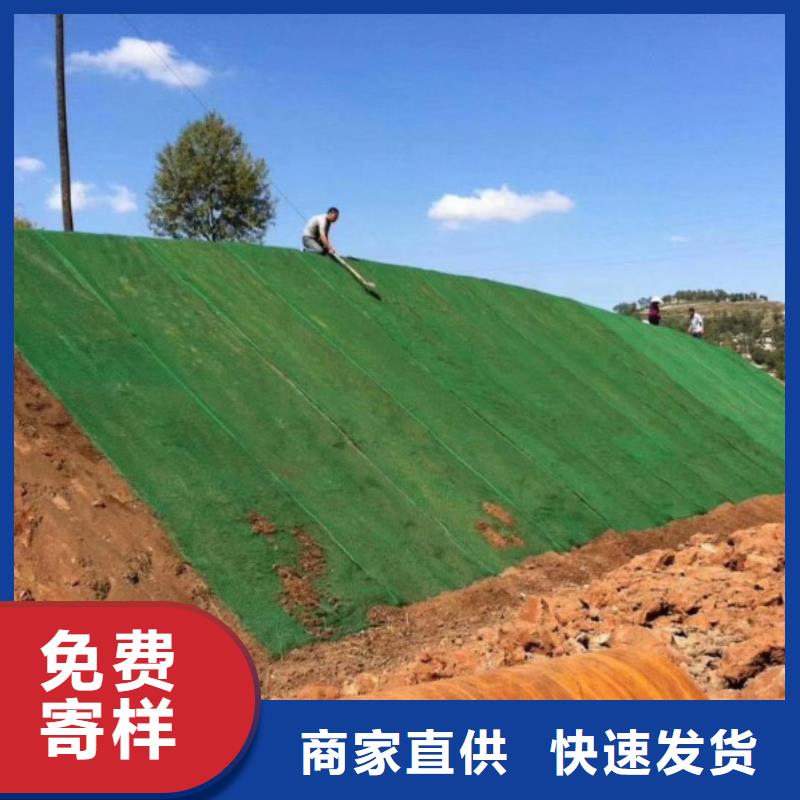 【三维植被网沥青木丝板严格把控质量】