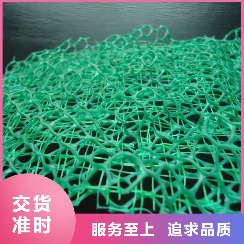 三维植被网止水铜片做工细致