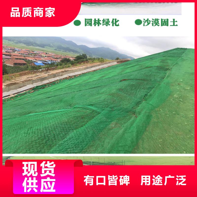 三维植被网聚乙烯醇纤维专注质量