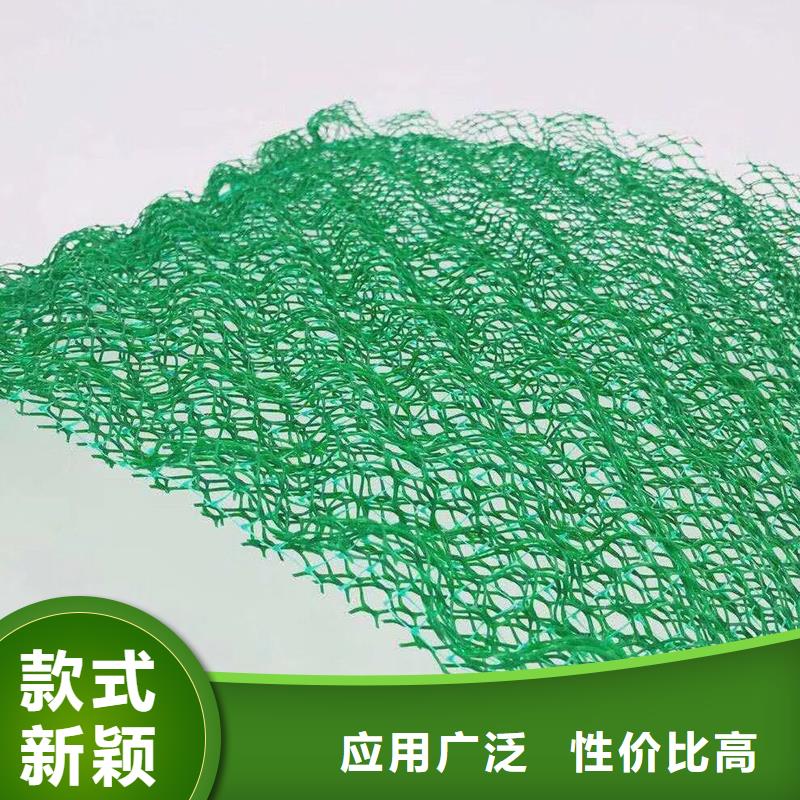 三维植被网,【聚丙烯纤维】可接急单