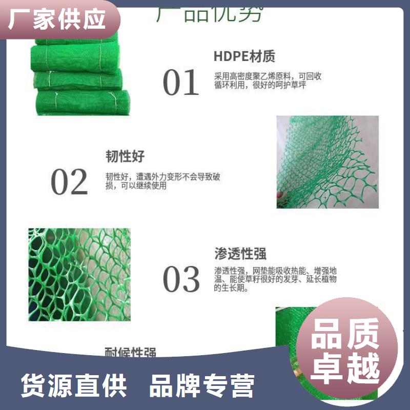 三维植被网止水铜片做工细致