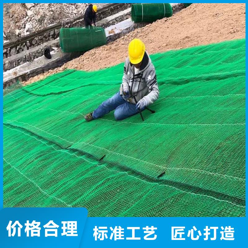 三维植被网,【聚丙烯纤维】可接急单