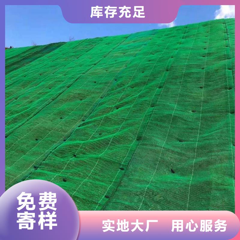 三维植被网聚乙烯醇纤维专注质量