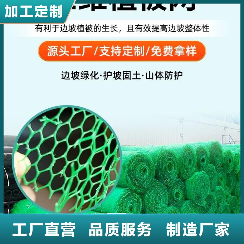 三维植被网聚乙烯醇纤维专注质量
