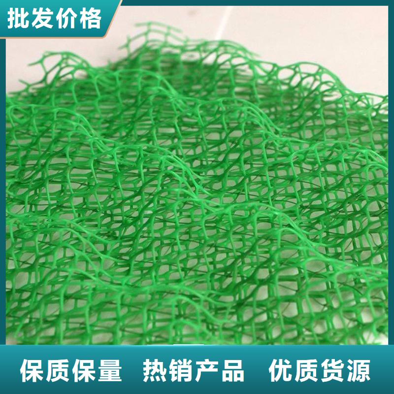三维植被网,【聚丙烯纤维】可接急单