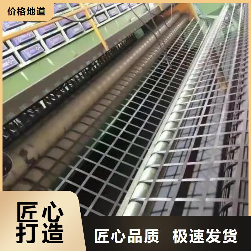 塑钢土工格栅价格型号齐全厂家