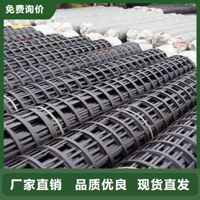 陵水县塑钢土工格栅图片诚信企业价格