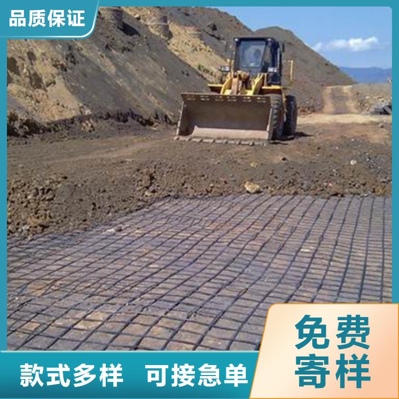 土工格栅_铜止水现货齐全售后无忧
