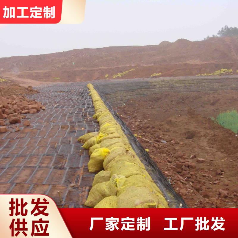 土工格栅铜片止水厂家经销商