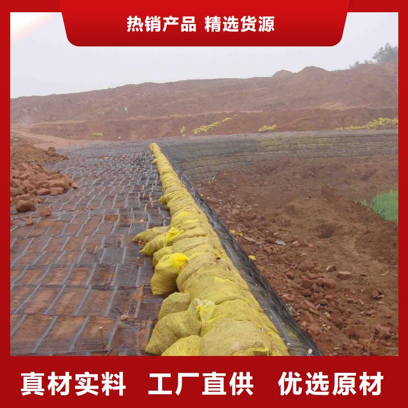 【土工格栅】紫铜止水片送货上门