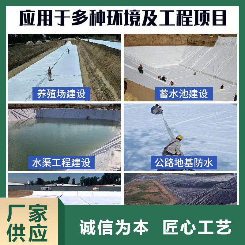 土工布聚丙烯单丝纤维厂家直销省心省钱