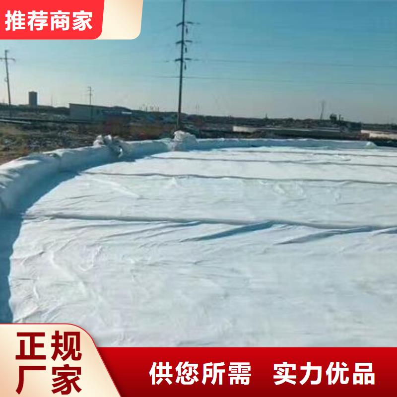 土工布聚丙烯单丝纤维厂家直销省心省钱