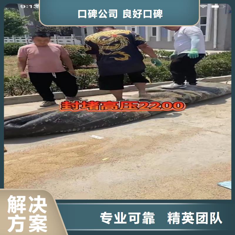 定安县供应批发蛙人管道封堵气囊-价格优惠