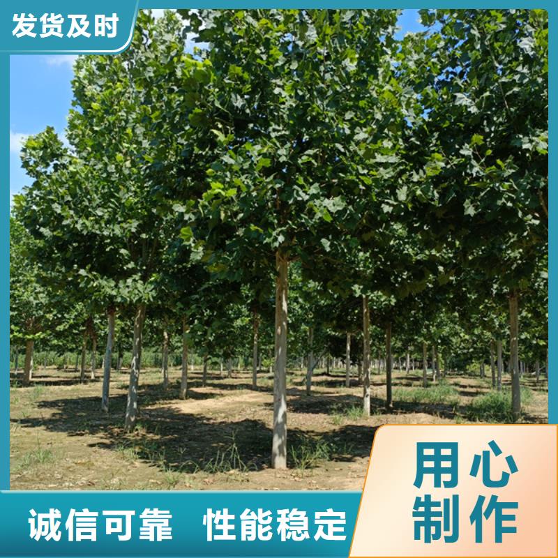 法桐严格把关质量放心