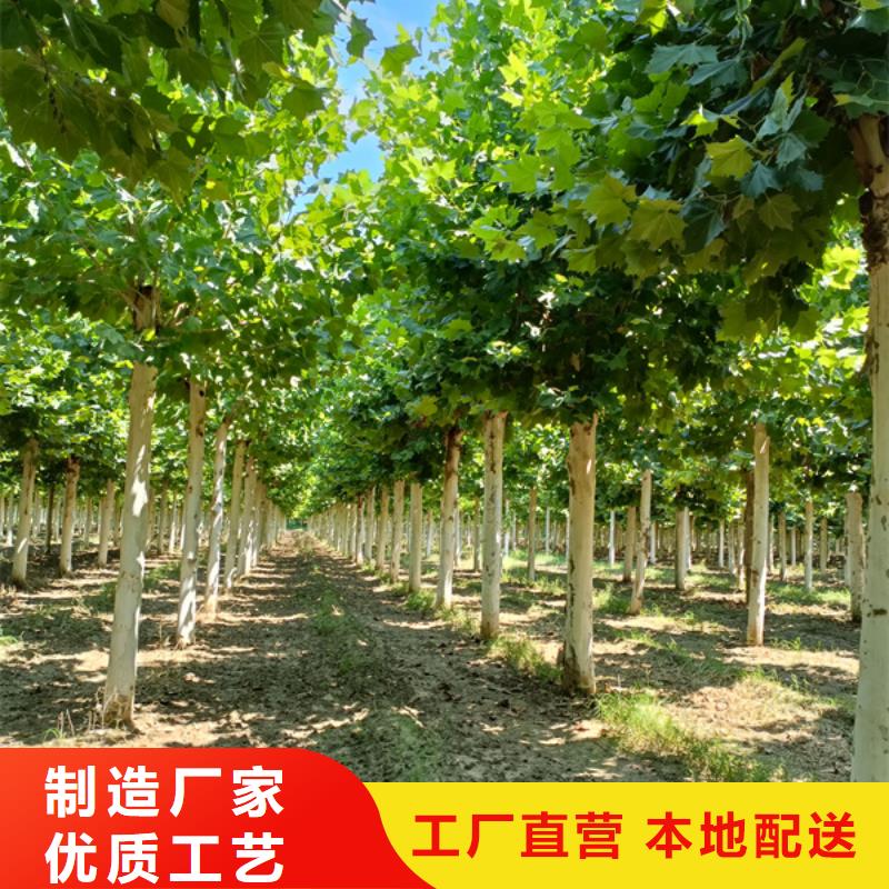 法桐严格把关质量放心