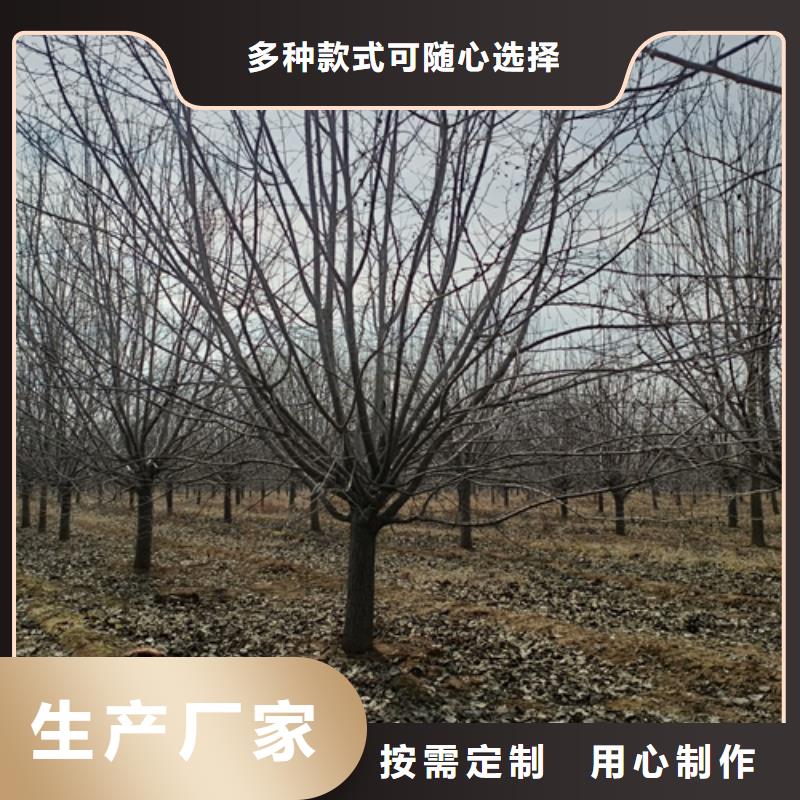 法桐来图定制