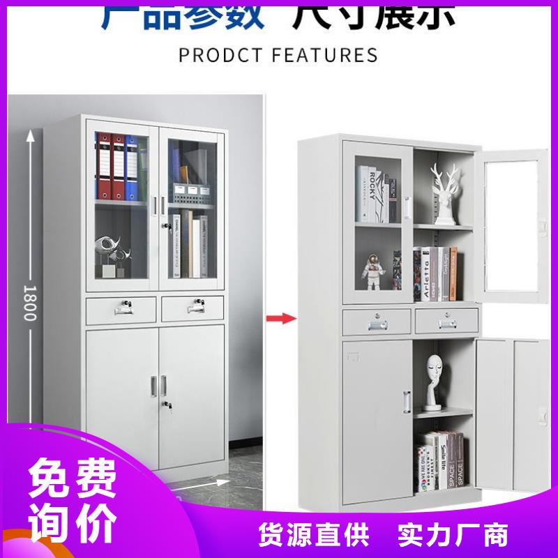 永济市橱式档案架文件