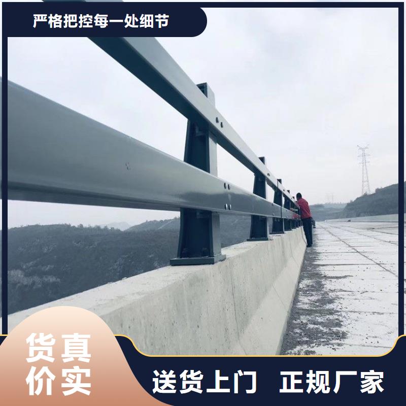 桥梁两侧防撞护栏实体大厂