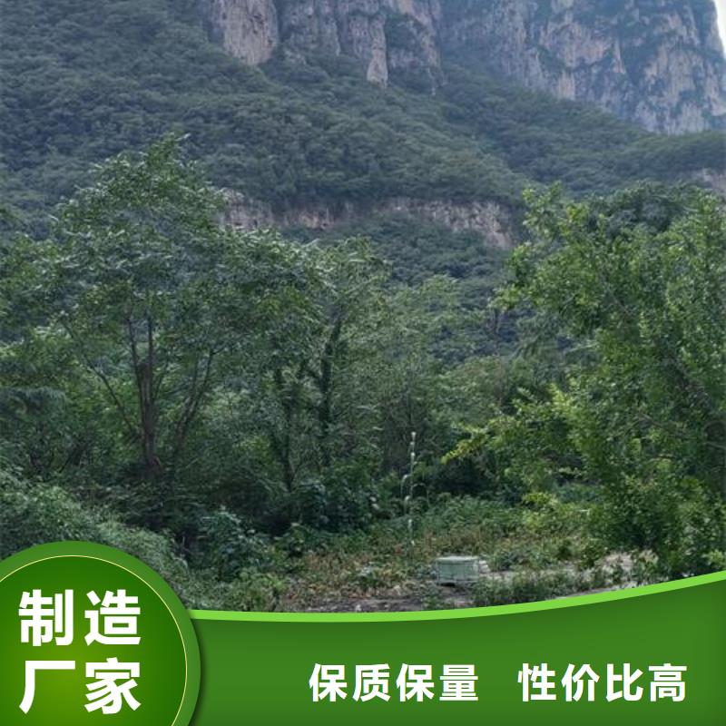 80米混凝土泵车价格