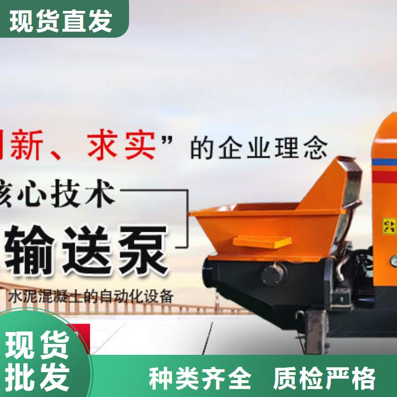 微型二次构造柱泵