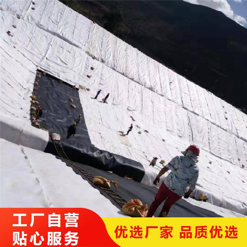 HDPE防渗膜-PE土工膜-水渠防渗土工膜
