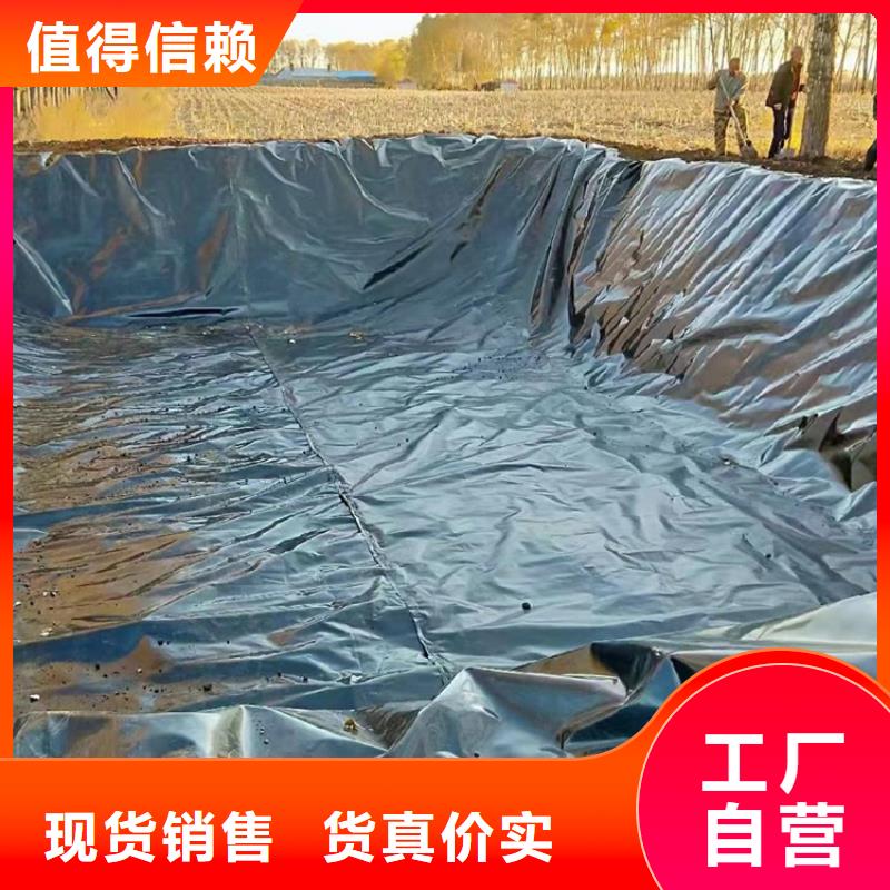 土工膜_防渗膜厂家实力大